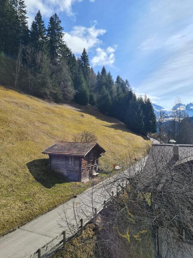 Appartement Traditional Chalet In Wengen - Top Floor Extérieur photo